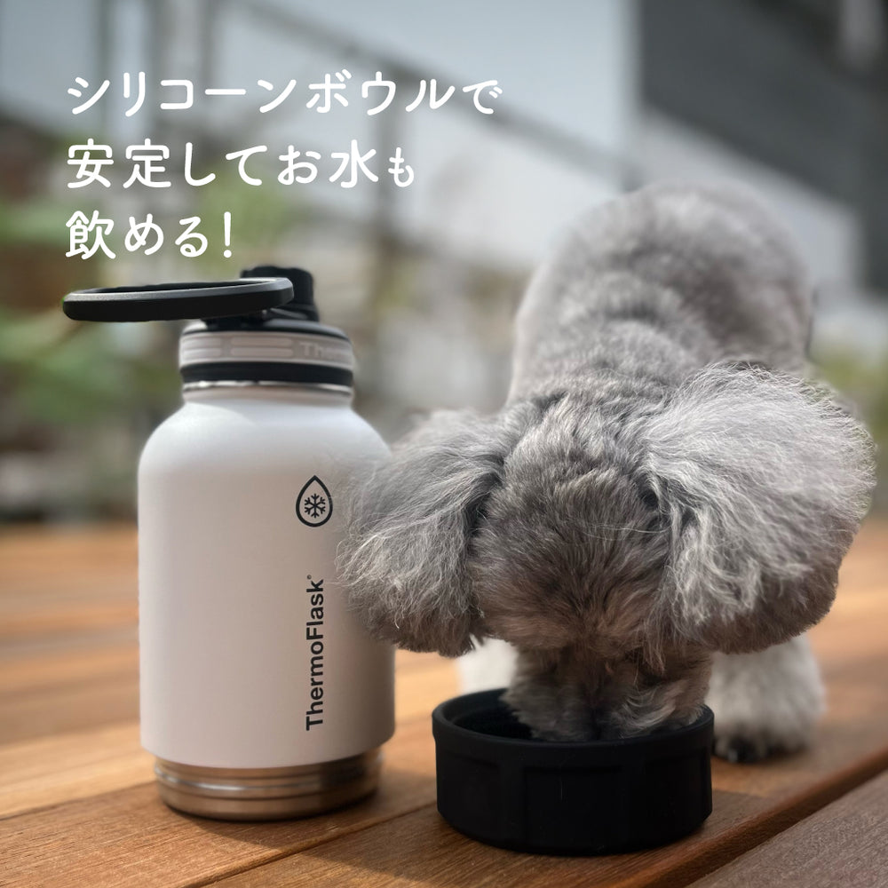 タケヤ サーモフラスク 0.7L 水筒 ステンレスボトル TAKEYA – TAKEYA