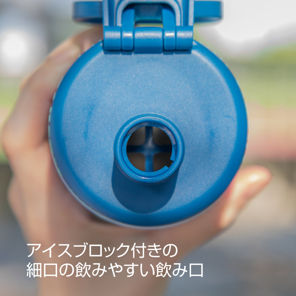 アクティブスリム 0.65L 水筒 タケヤ ステンレスボトル TAKEYA 公式