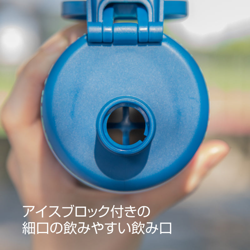 アクティブスリム 0.65L 水筒 タケヤ ステンレスボトル TAKEYA 公式