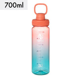 デュラブルボトルグラデーション 700ml 【送料無料】