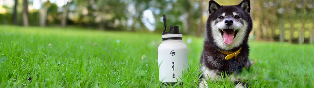 ThermoFlask Share Bottle – TAKEYA【公式オンラインストア】