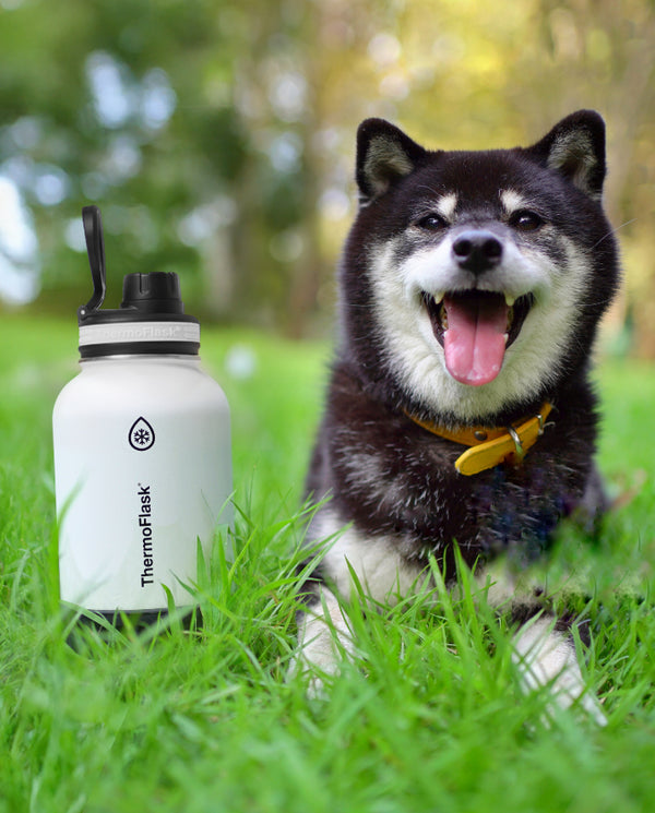 ThermoFlask Share Bottle