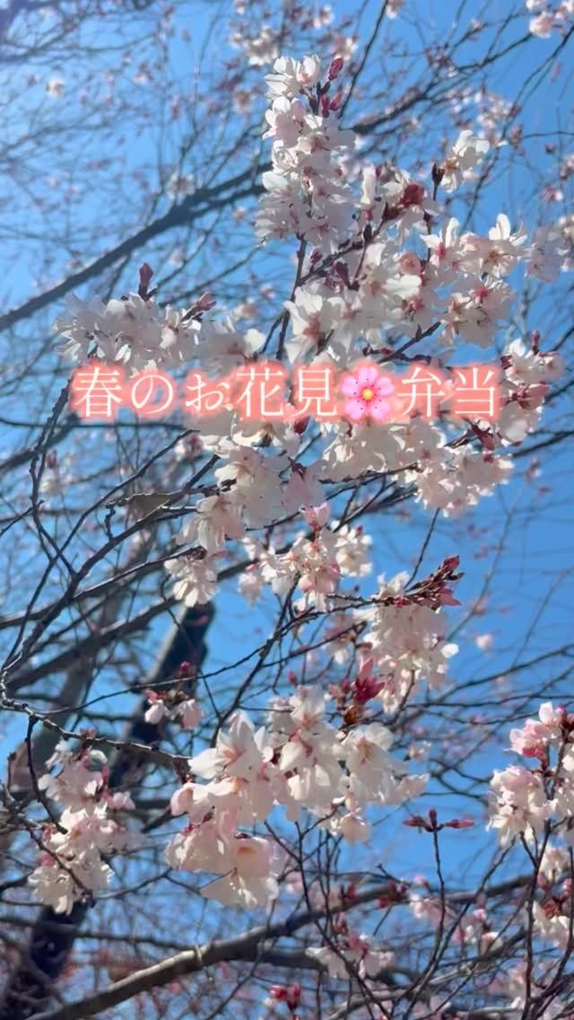 お花見弁当の作り方動画です♪

前日から出来るものは予め準備して、フレッシュロック
コンテナに入れました😊
手毬寿司を作り、お弁当箱代わりにもフレッシュロック
コンテナ1.2ℓを使いましたよ♪

またお花見には欠かせないアルコールも、事前に凍らして
おいたアイスジャケットを持っていき桜色のスパークリング
ワインに被せて楽しみました🥂
チェアーズシャンパングラスも、割れにくいプラスチック
なのでアウトドアのシーンにもオススメです👍

購入は
プロフィールのリンクツリーから各オンラインショップに
アクセスできます
👉@takeya_freshlok
———————————————
#takeya 
#フレッシュロックコンテナ 
#アイスジャケット　
#チェアーズシャンパングラス 
#お花見弁当